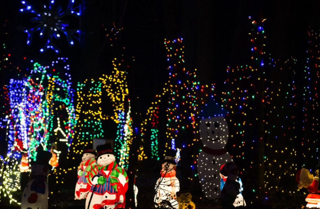 Christmas Magic A Festival of Lights York Ship Saves