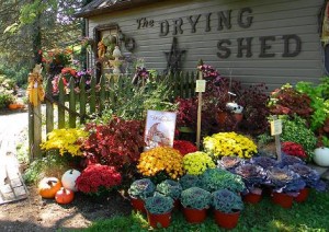 Drying Shed