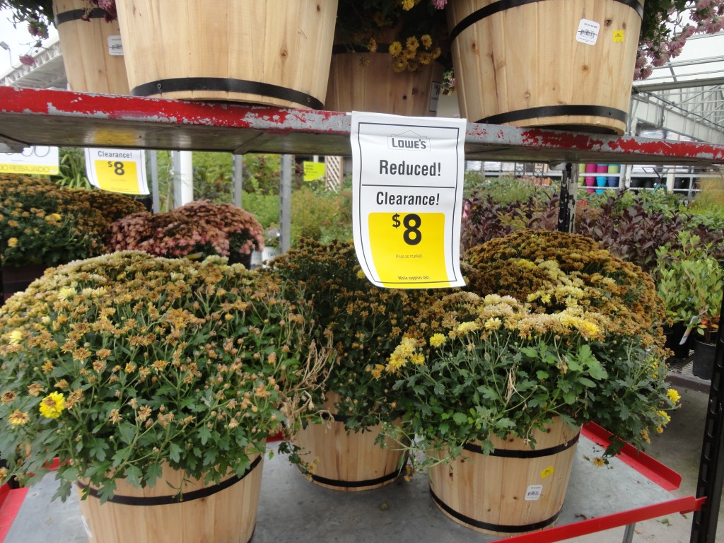 Lowe’s 1.00 Mums SHIP SAVES