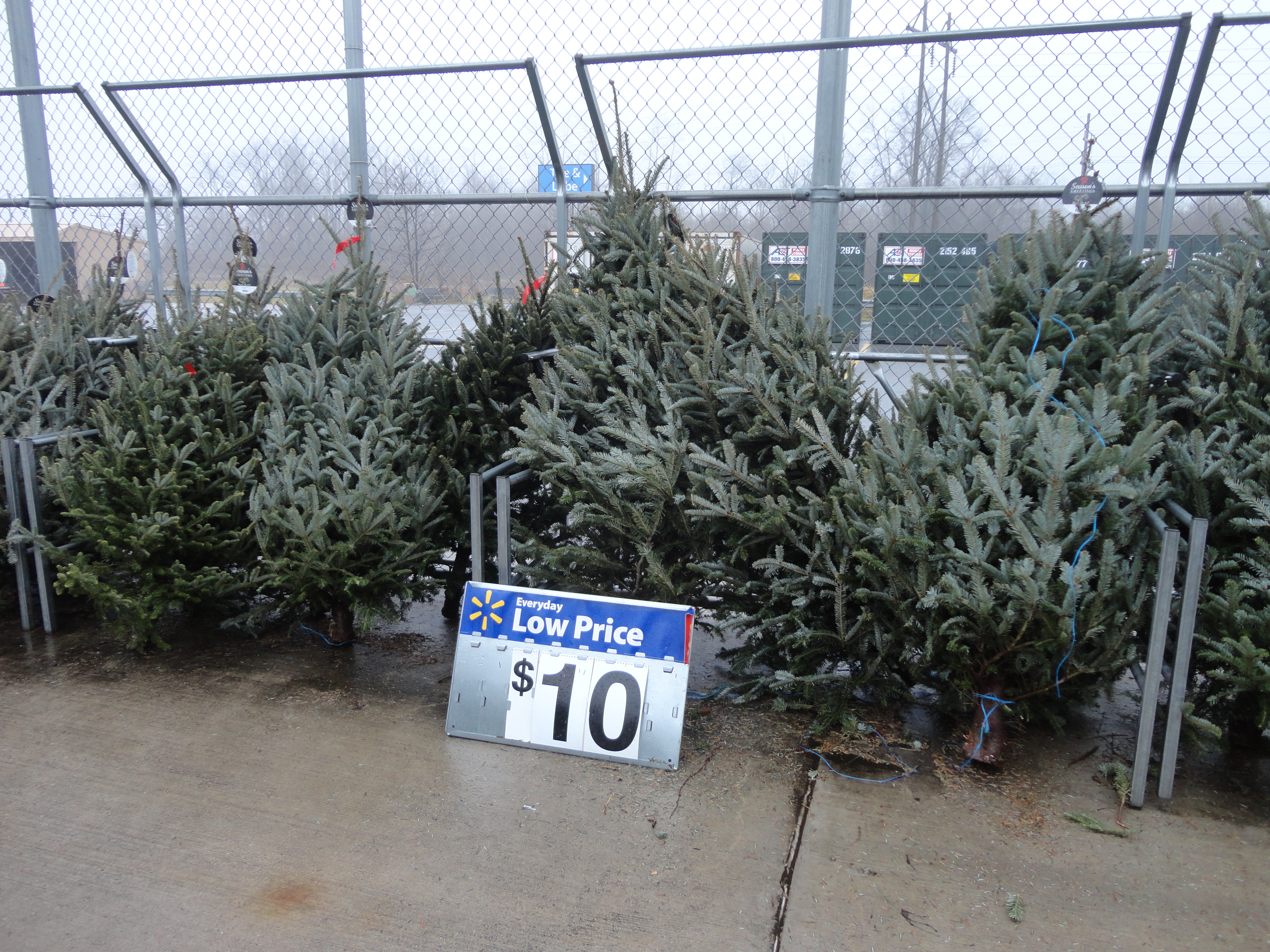 lowes real christmas trees prices