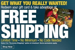 bass pro free shipping