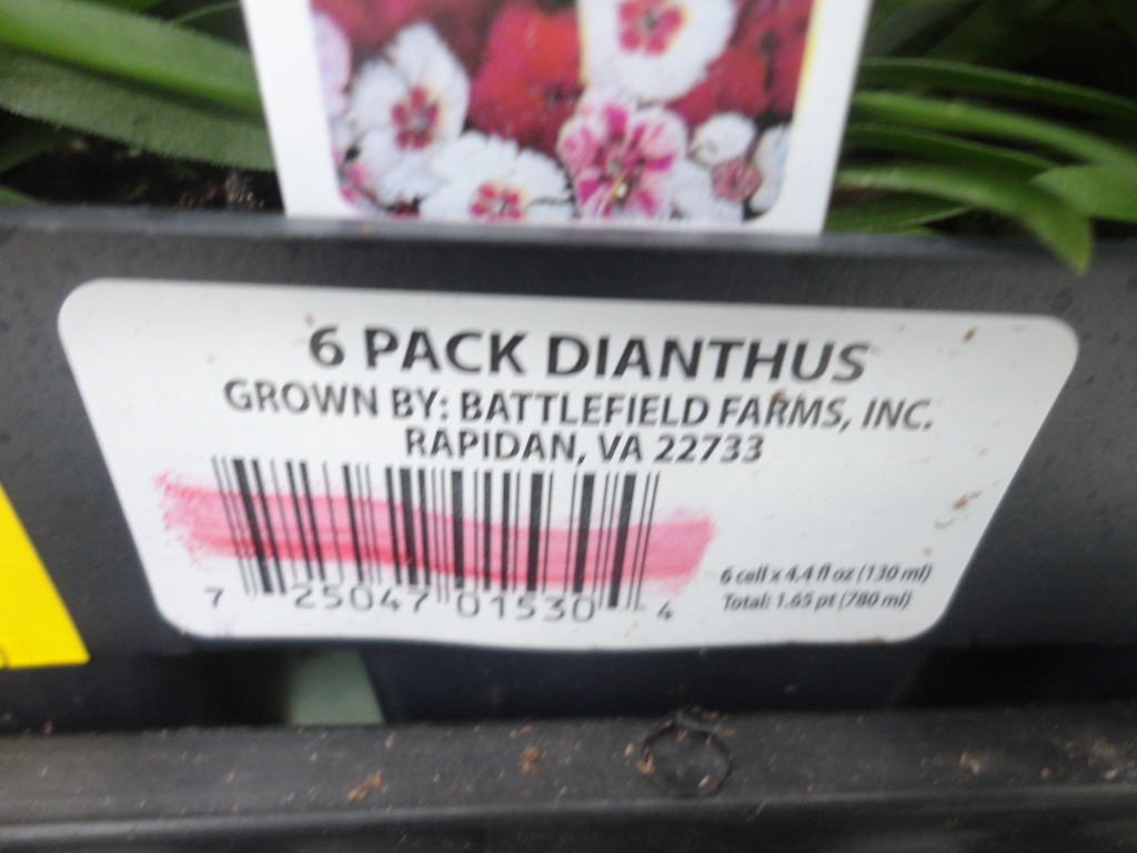 Lowes Reduced Plants & Coupon Booklet SHIP SAVES