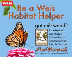 milkweed