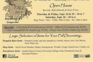 drying shed specials