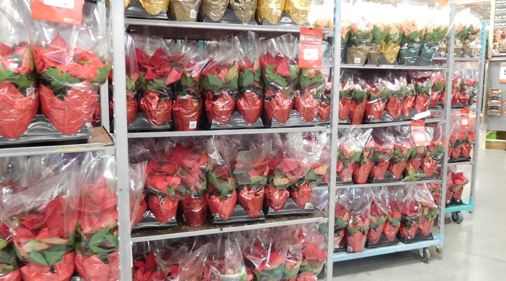 The Home Depot Black Friday’s Poinsettia Prices SHIP SAVES