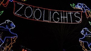 zoo lights header