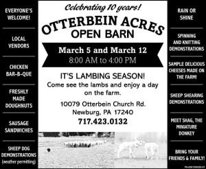 open barn 2016