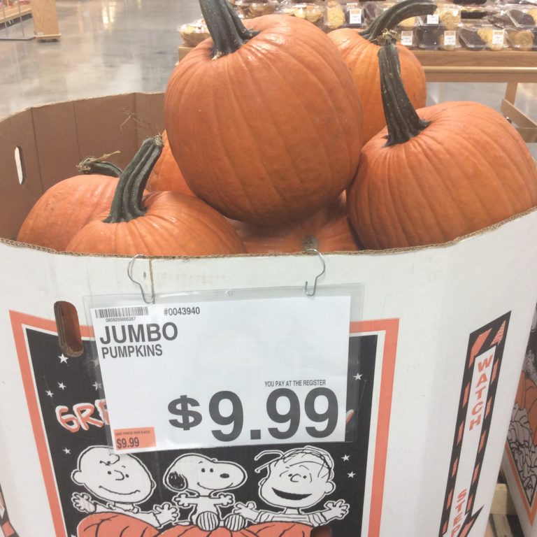BJ’s Pumpkin Prices SHIP SAVES
