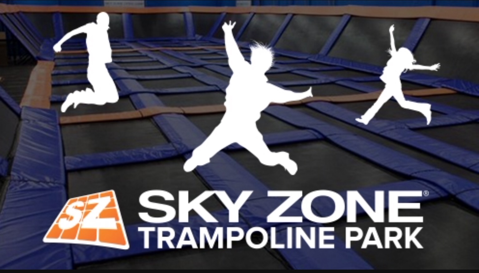 Sky Zone Harrisburg Bogo Jump Ticket On 7 20 Noon 5pm Ship Saves