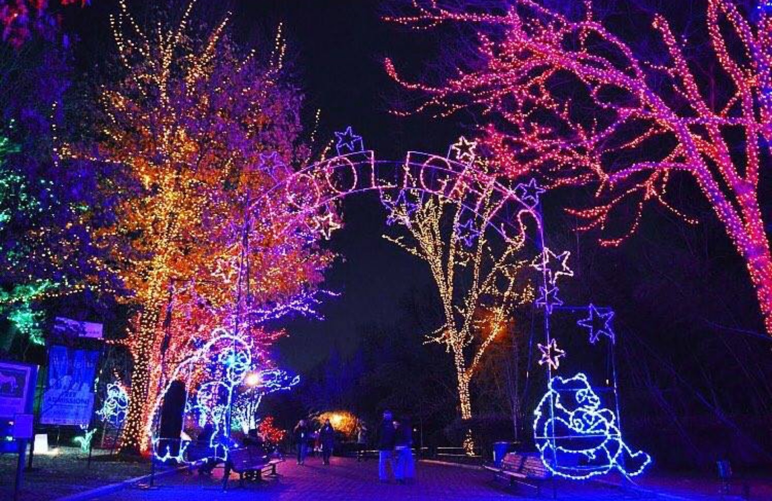 Dc Zoo Christmas Lights 2021