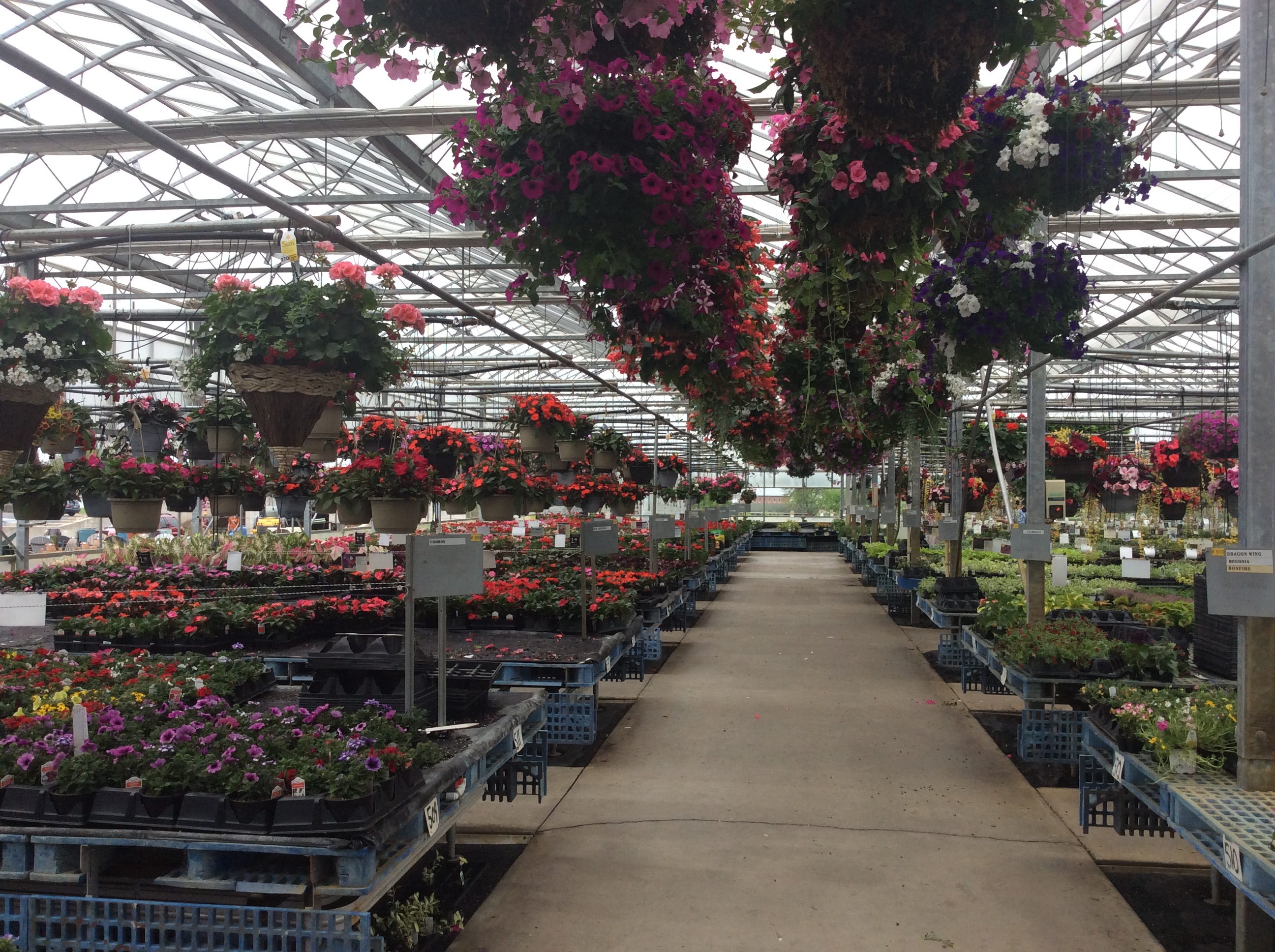 Lurgan Greenhouse’s Summer Sale SHIP SAVES