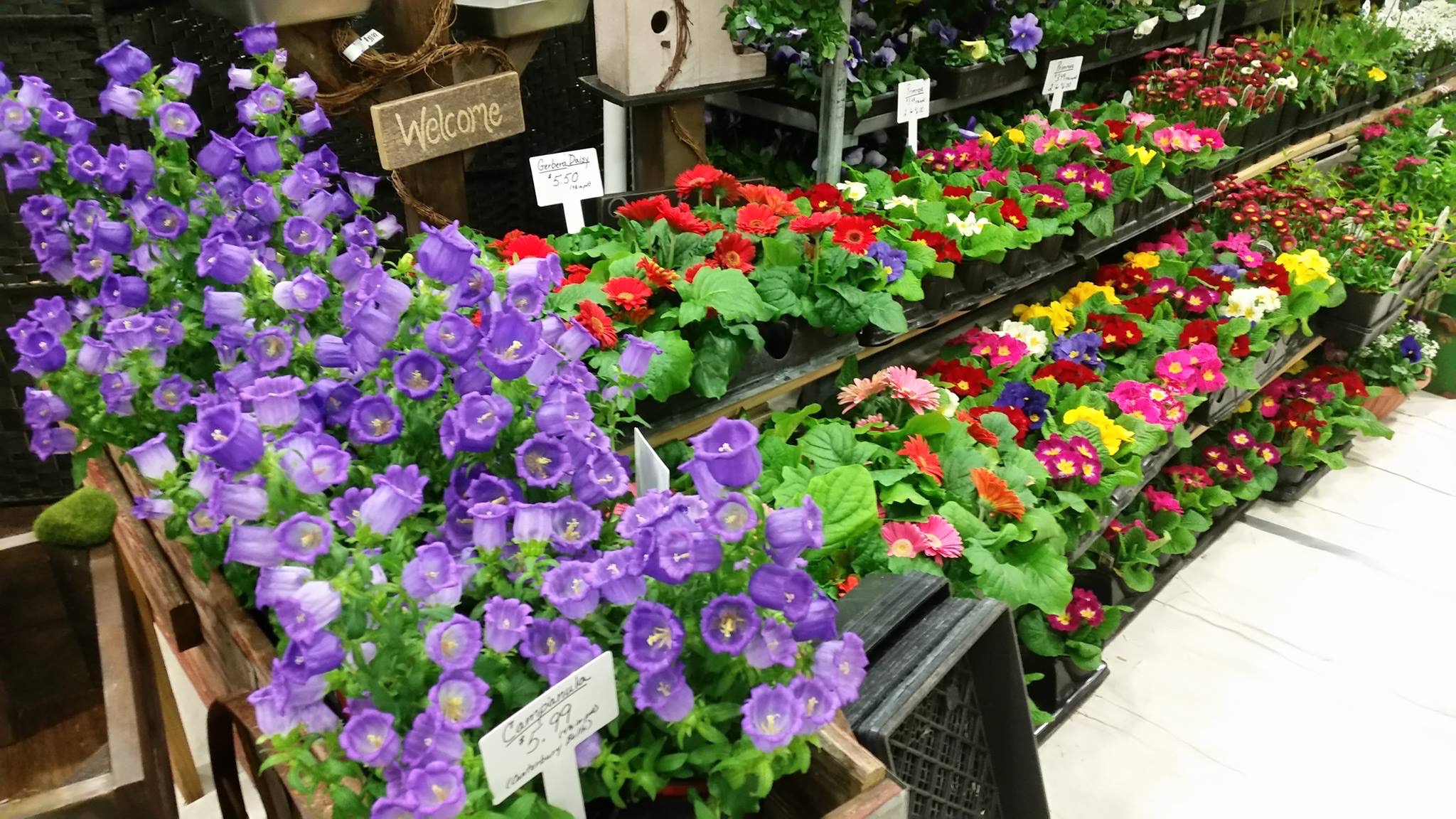 HCC Flower & Garden Show March 19 & March 20 SHIP SAVES