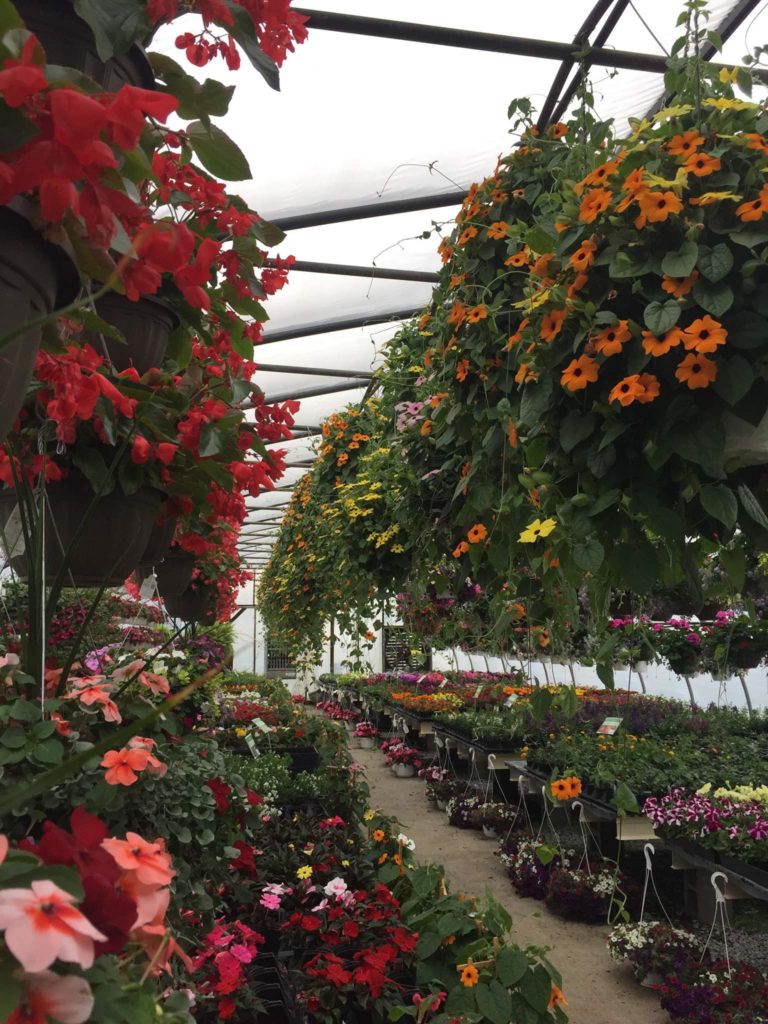 GBLUES Garden Days at Hilltop Greenhouse May 3 & 4 Ship Saves
