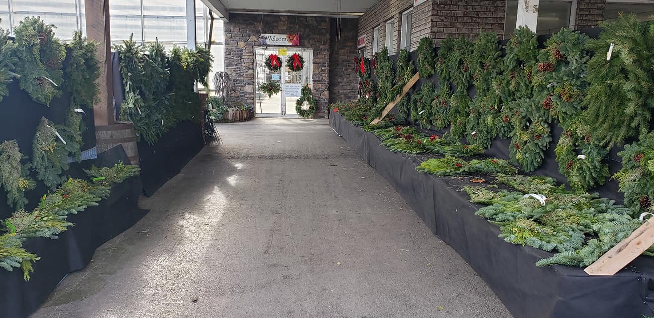 Lurgan Greenhouse’s beautiful Poinsettias and Holiday Greens SHIP SAVES