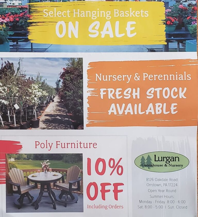 Lurgan Greenhouse’s Summer Sale SHIP SAVES