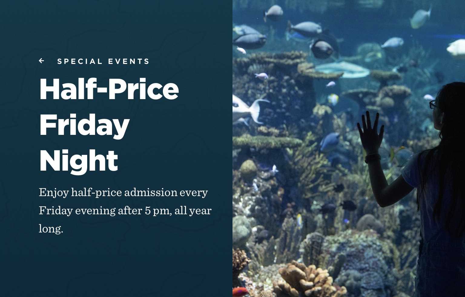 National Aquarium HalfPrice Friday Nights SHIP SAVES