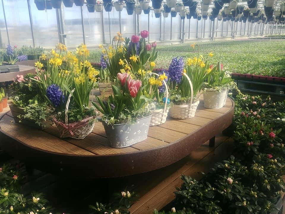 Lurgan Greenhouse’s Springtime Hours and Baked Goods/Chicken BBQ