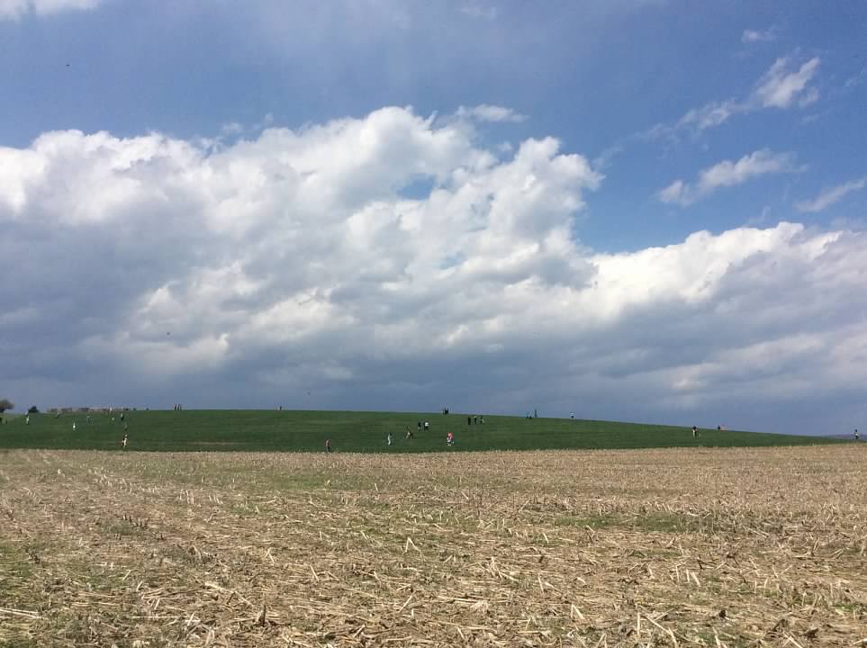 Meadowbrook Gourds’ Annual Egg Hunt SHIP SAVES
