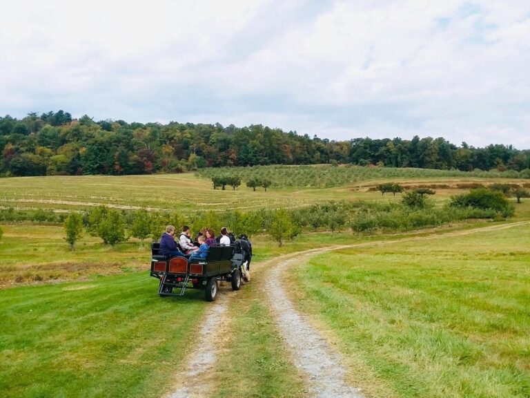 Boyer Nurseries & Orchards PickYourOwn Sweet Cherries SHIP SAVES
