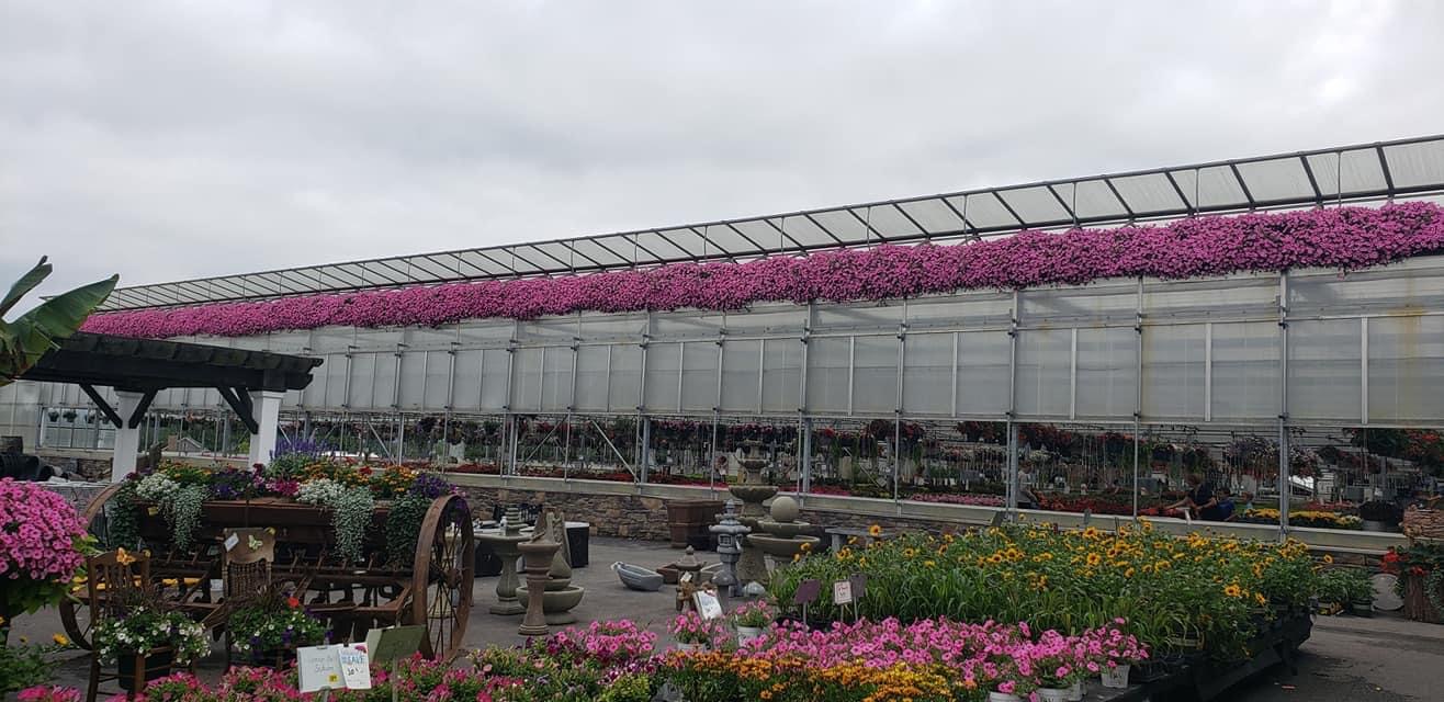 Lurgan Greenhouse’s Summer Cool Down Sale SHIP SAVES