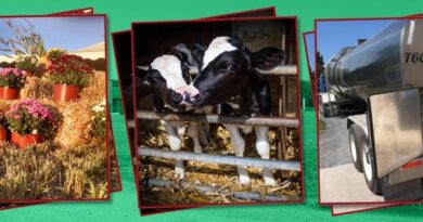 Franklin Fall Farm Fun Fest | September 28, 2024