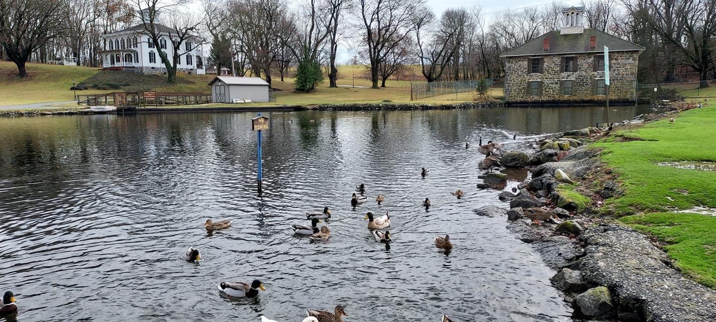 Dykeman Spring Park’s Duck Pond & Nature Trails SHIP SAVES
