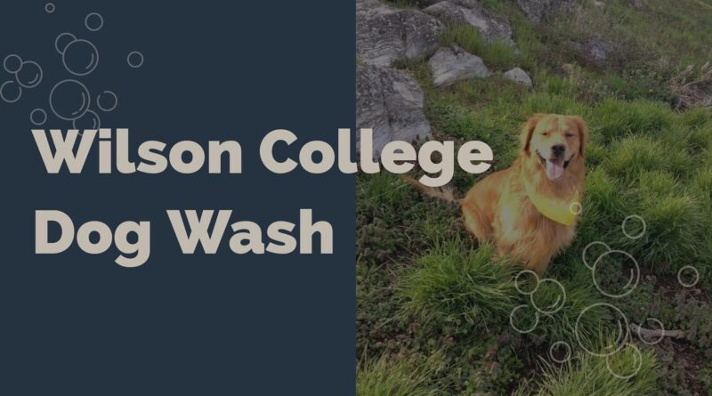 Dog Wash