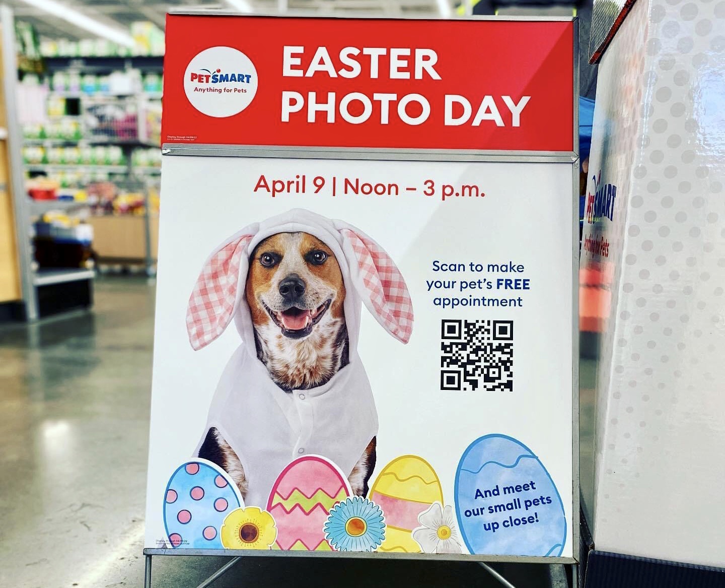 PetSmart is offering free pet photos with the Easter Bunny SHIP SAVES