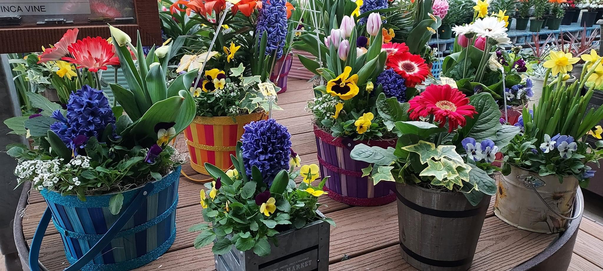 Lurgan Greenhouse’s Baked Goods/Chicken BBQ Schedule SHIP SAVES