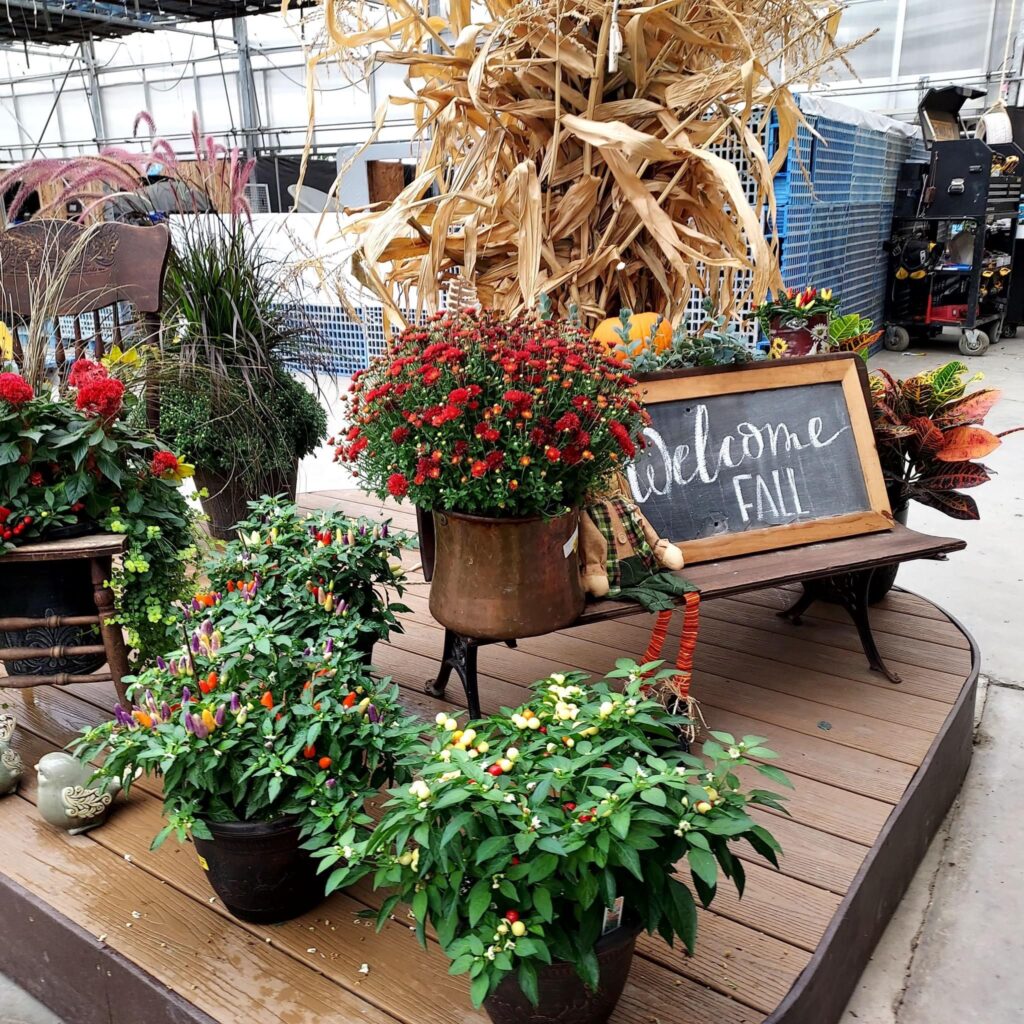 Lurgan Greenhouse Fall Customer Appreciation Days SHIP SAVES