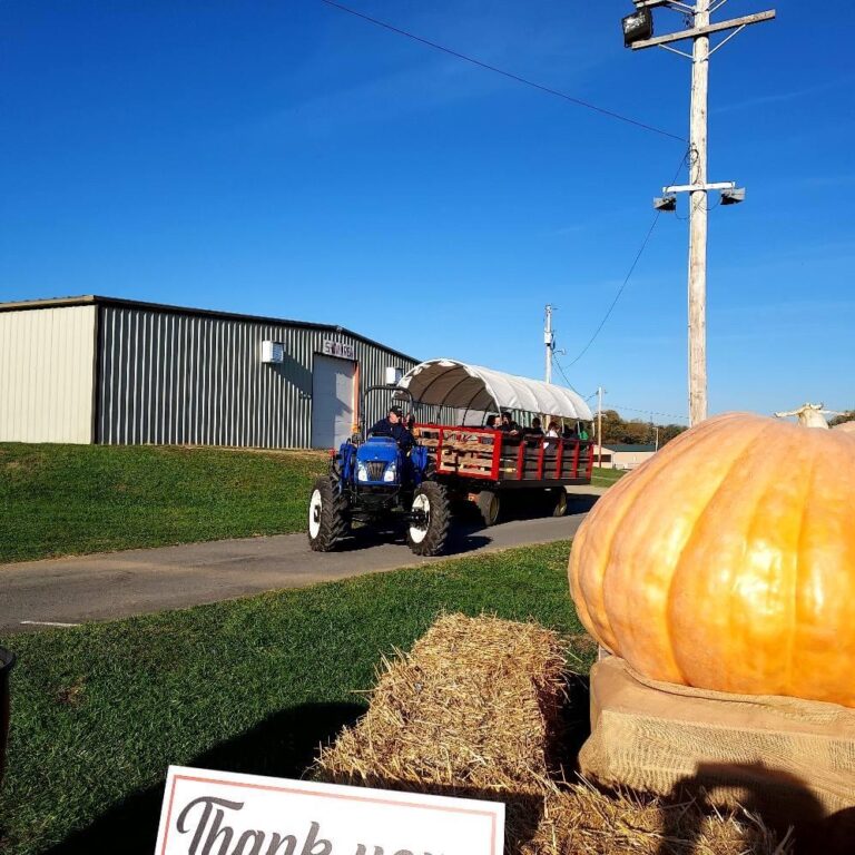 2022 Shippensburg Pumpkin Festival October 21 23 SHIP SAVES