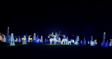 Chestnut Grove Winter Wilderness Light Display | Shippensburg, PA
