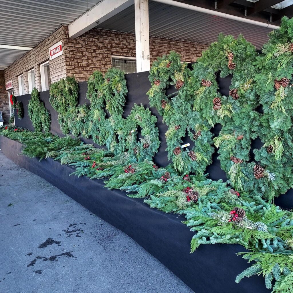 Lurgan Greenhouse Holiday Decor, Greenery, Poinsettias, & Succulents