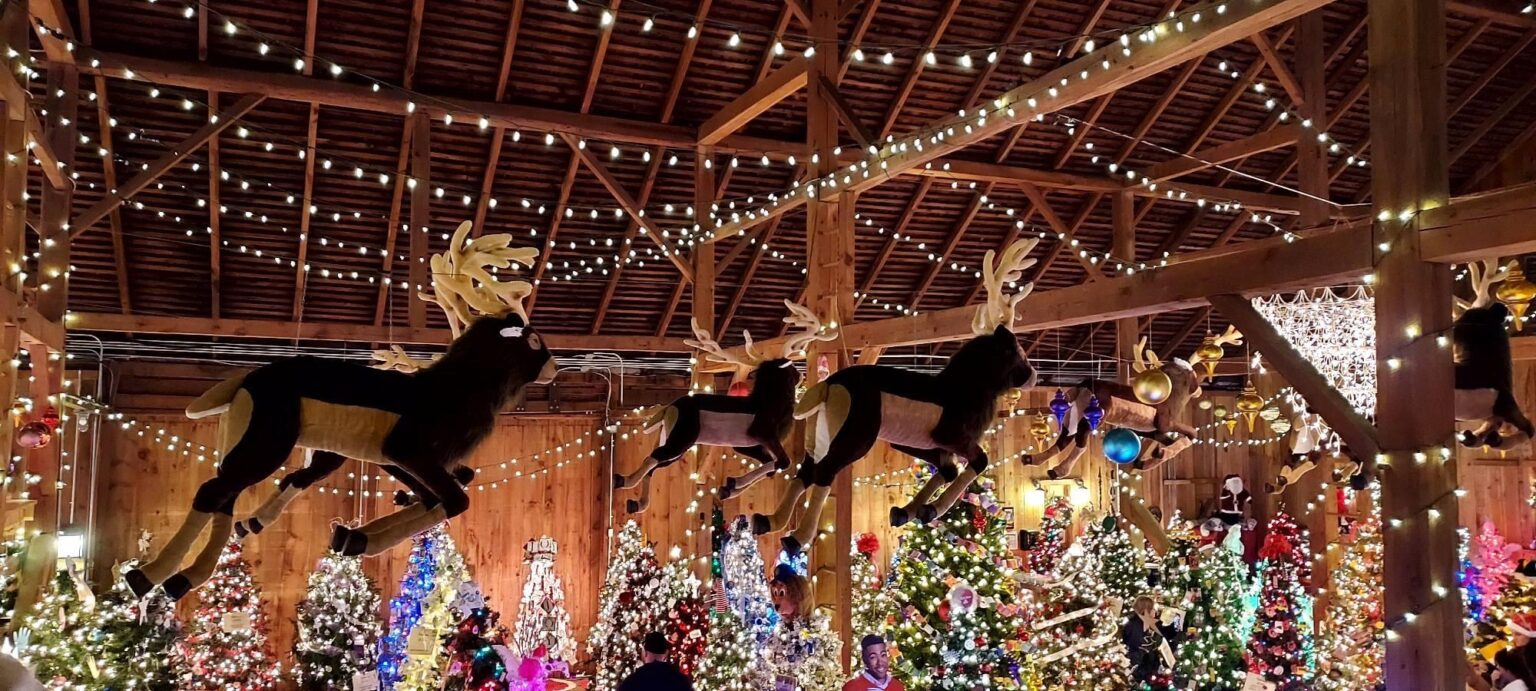 Celebration of Trees at the Springfield Barn Williamsport, MD SHIP