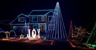 ‘Lights Music Action’ Light Show | Hawthorne Lane, Chambersburg